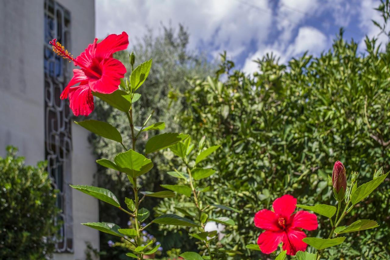 Villa Costanza Mondello Eksteriør bilde